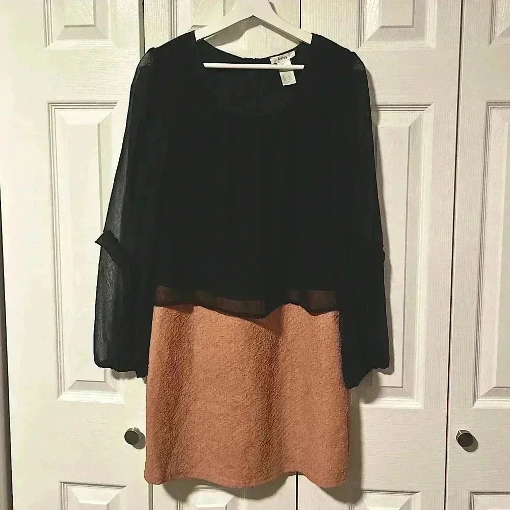 Esley Two-Toned Dress With Sheer Sleeves & Overlay